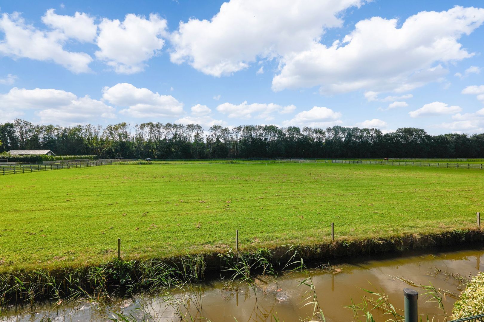 Groenling 35, Ouderkerk Aan De Amstel foto-41 blur
