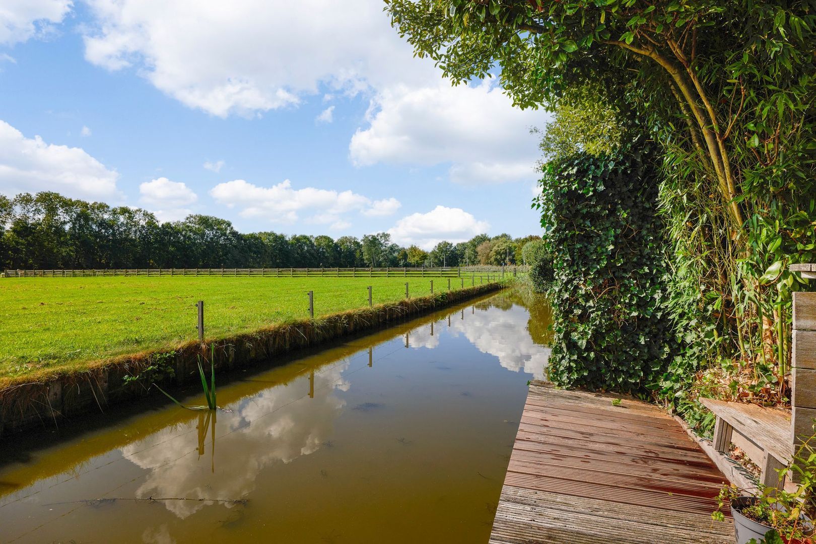 Groenling 35, Ouderkerk Aan De Amstel foto-18 blur