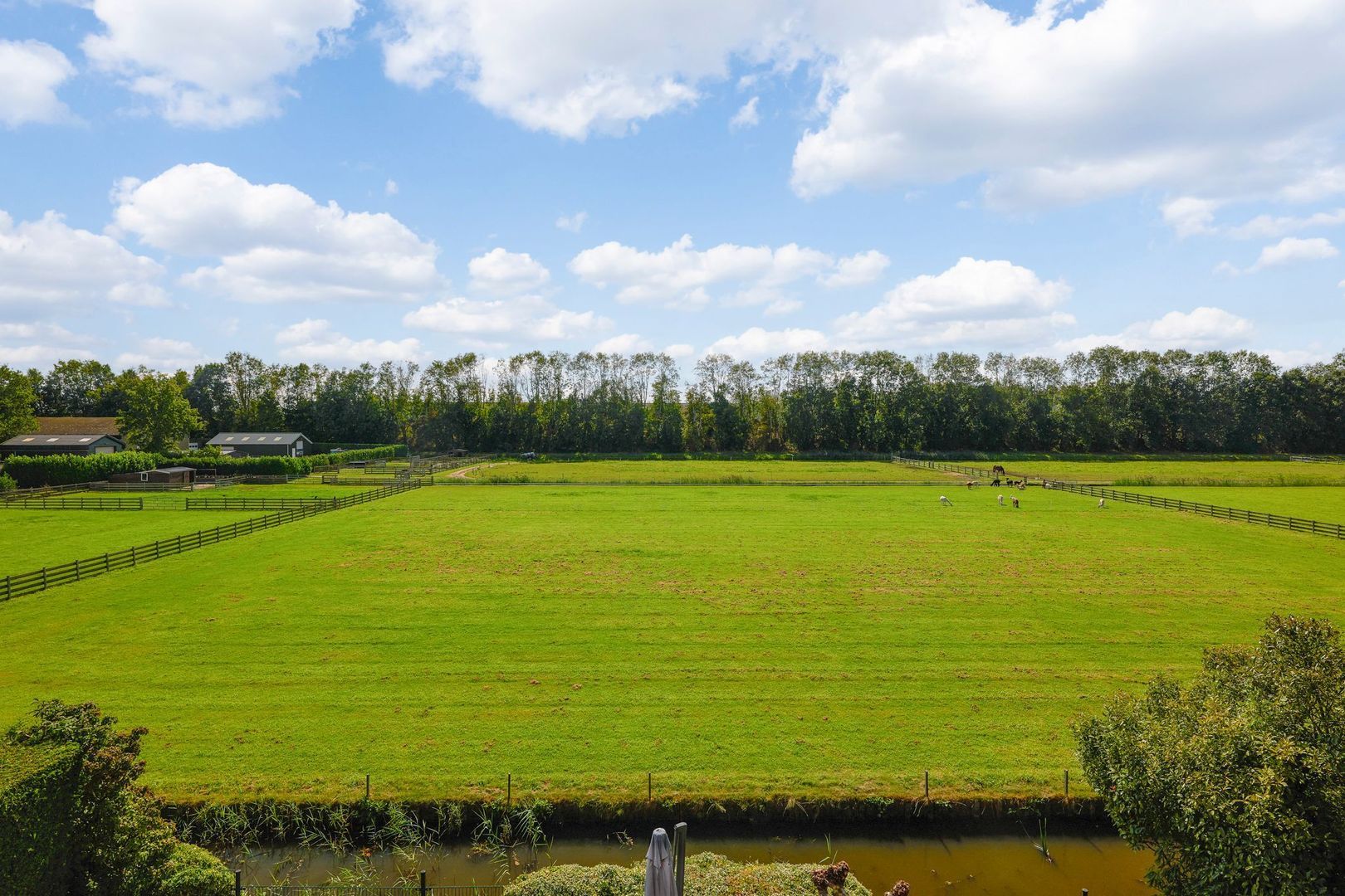 Groenling 35, Ouderkerk Aan De Amstel foto-42 blur