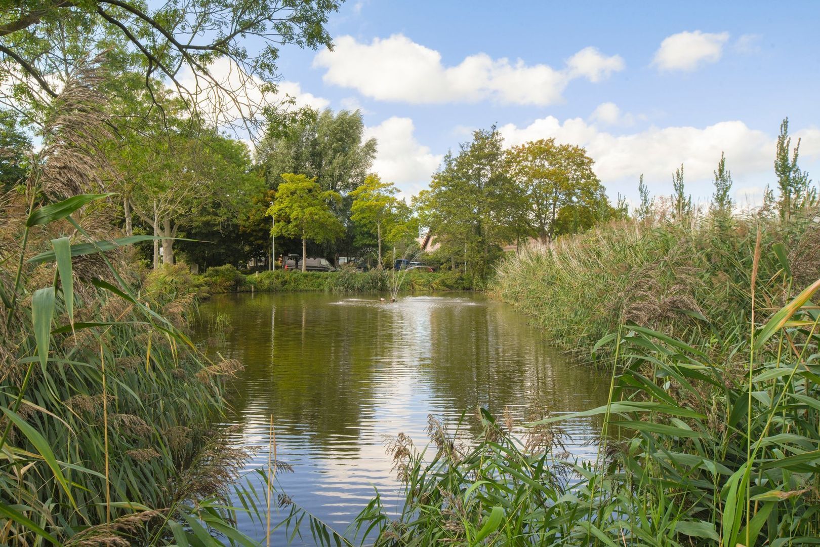 Thomsonstraat 213, Badhoevedorp foto-22 blur