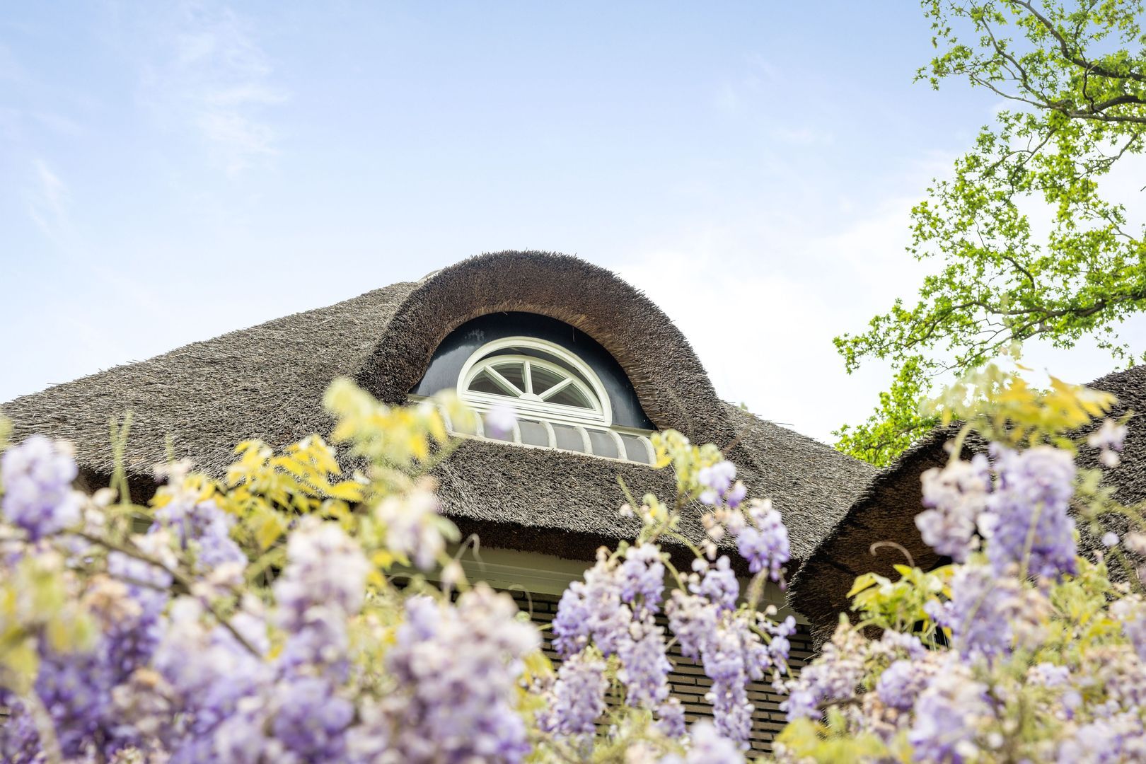 Pelzerpark 16, Epe foto-47