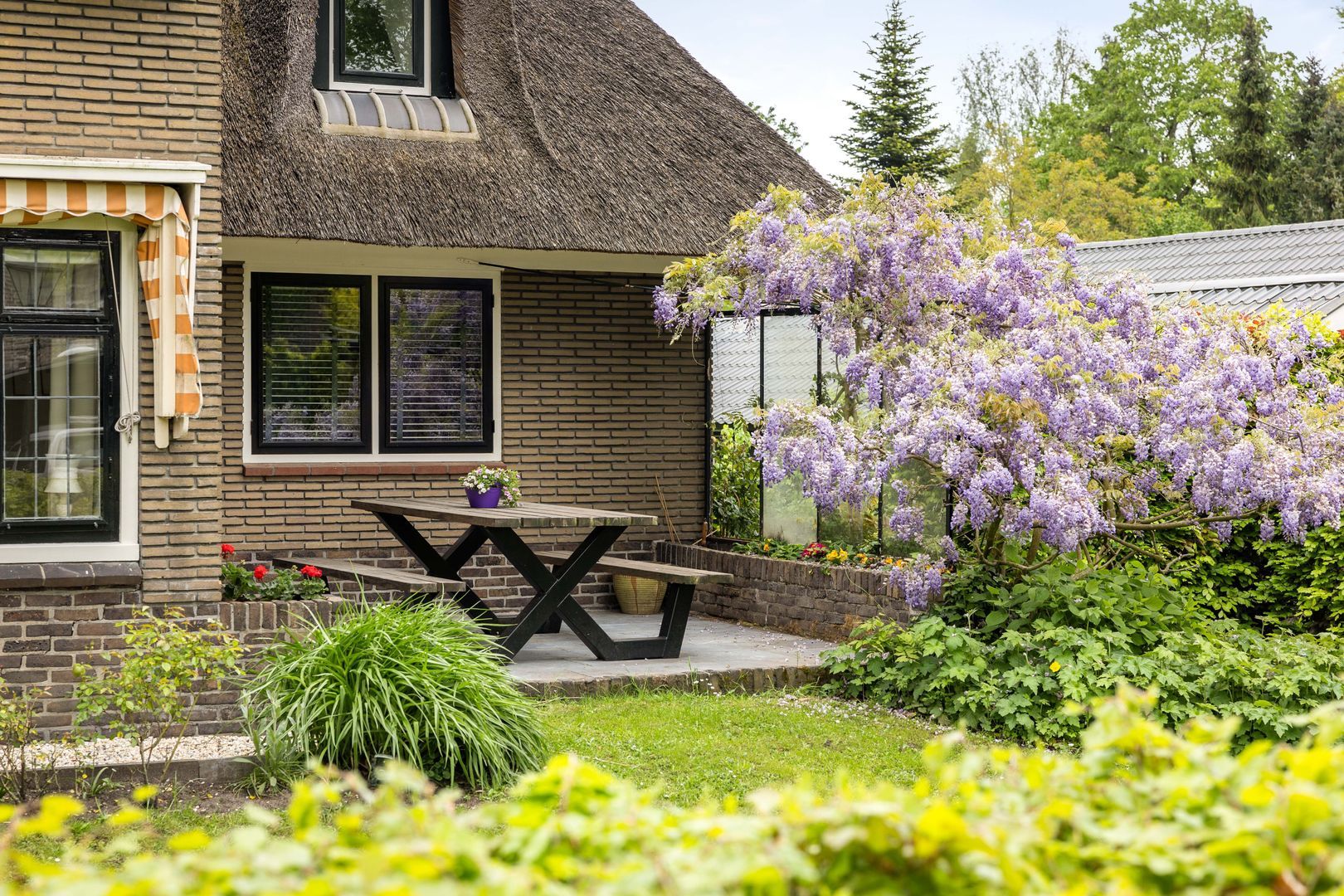 Pelzerpark 16, Epe foto-50