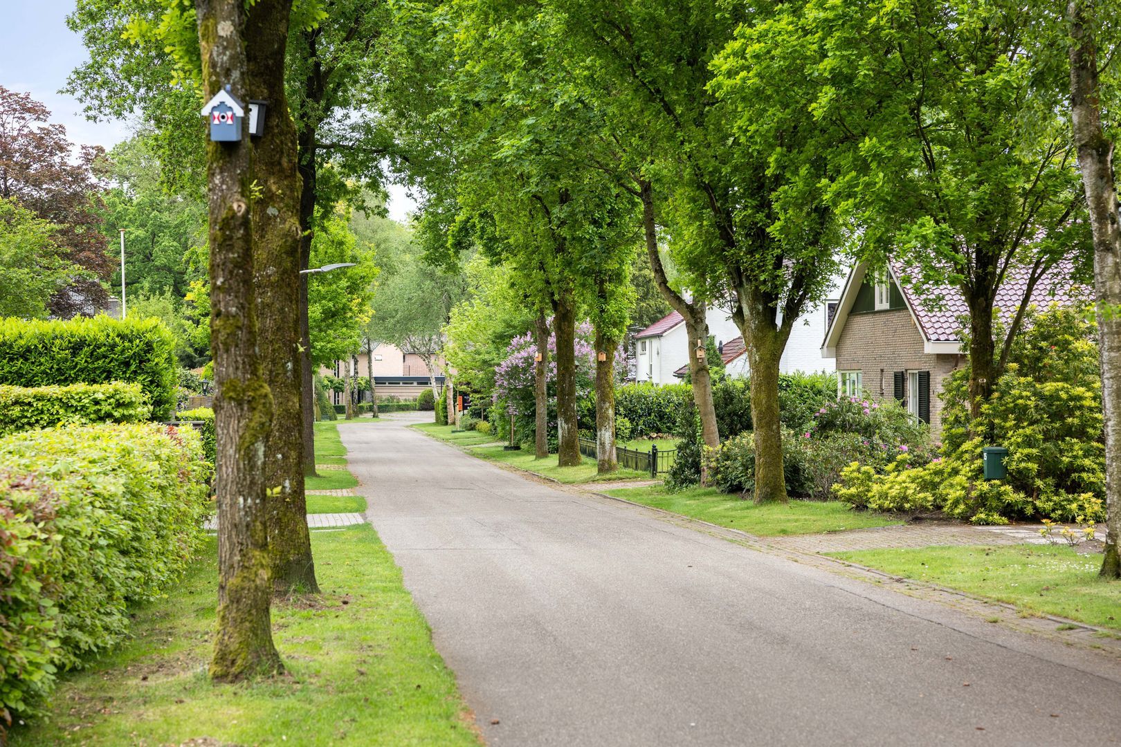 Pelzerpark 16, Epe foto-49