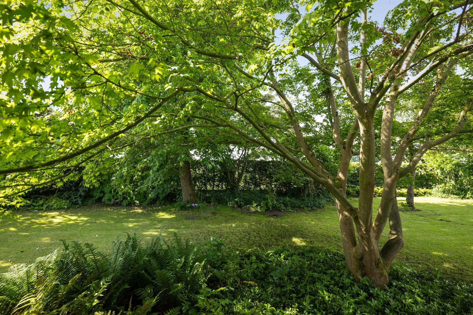 Martenshofstede 36, Vaassen foto-41