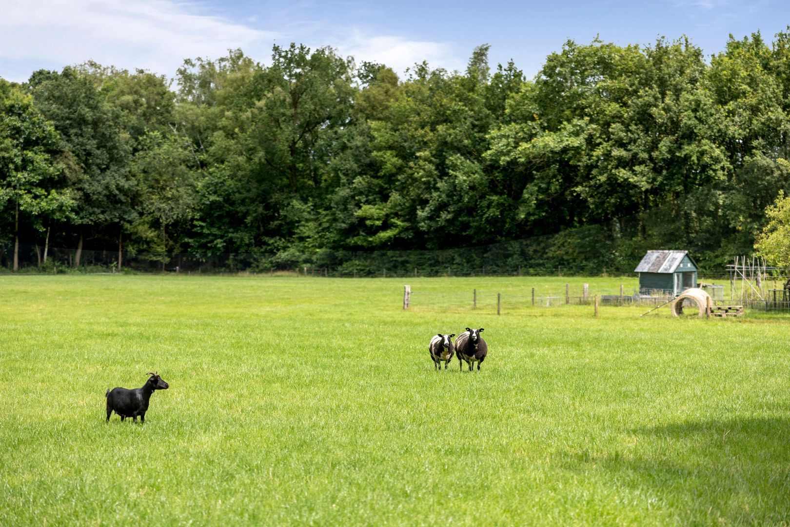 Eikenlaan 18, Heerde foto-58