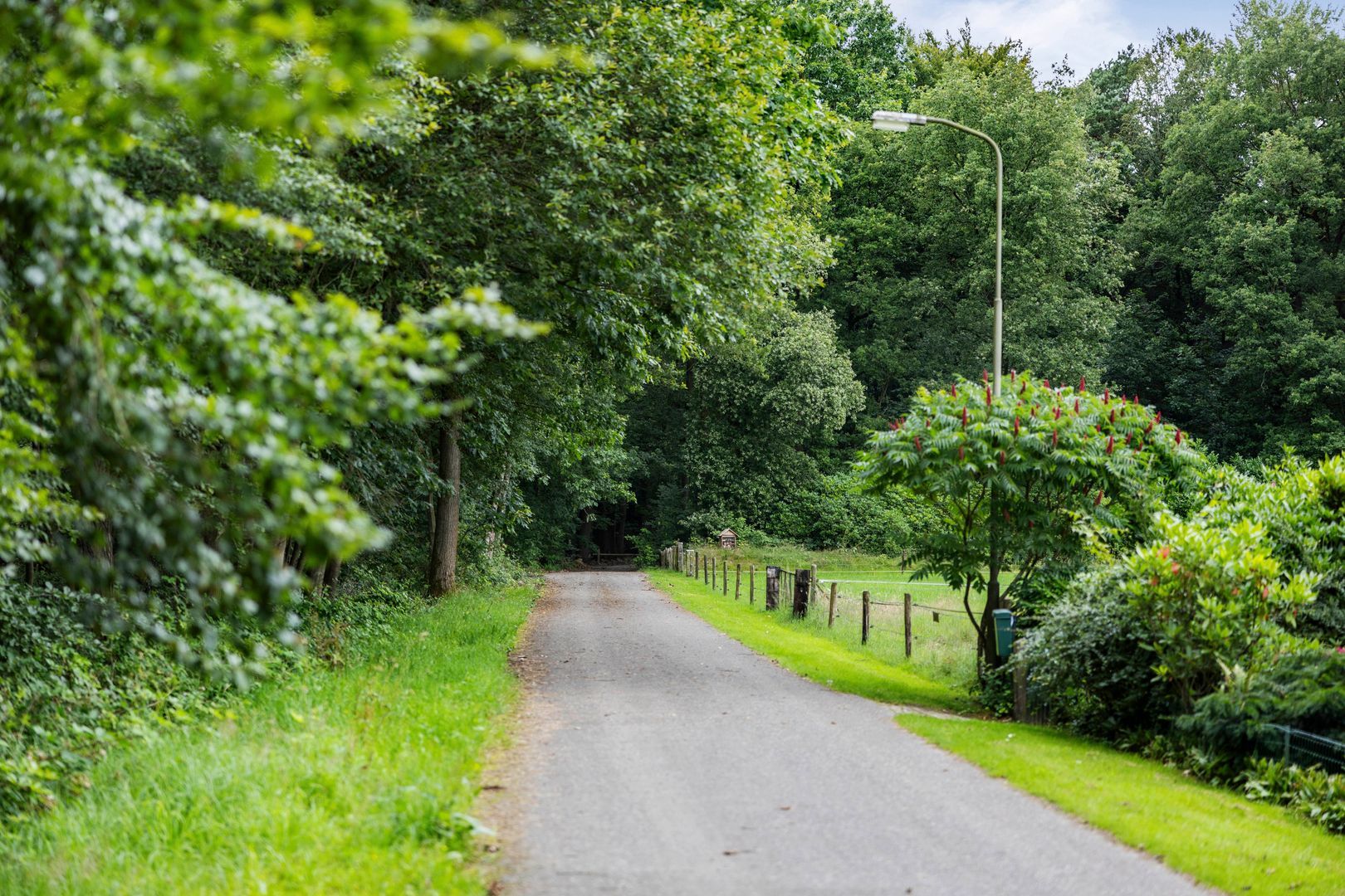 Eikenlaan 18, Heerde foto-46