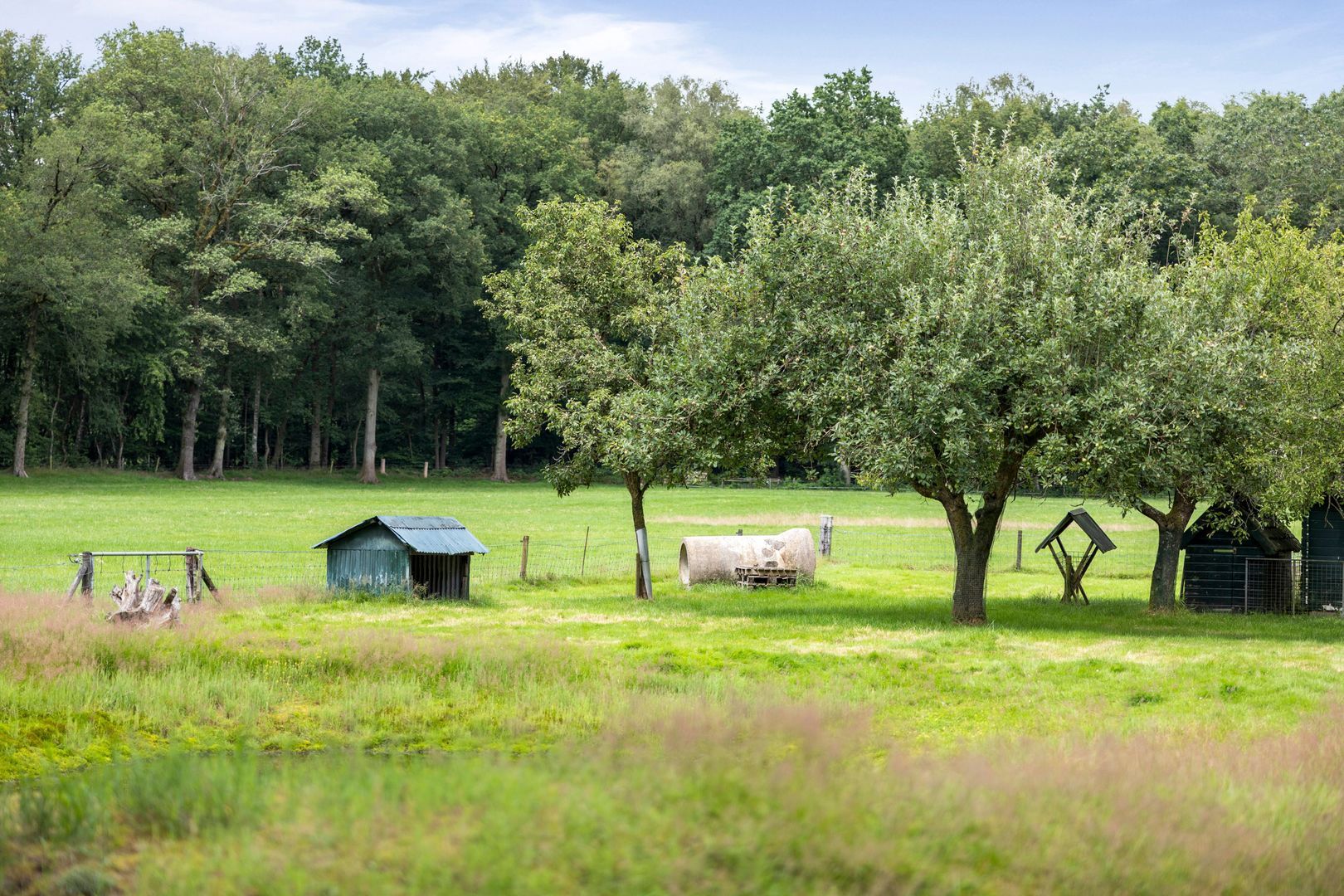 Eikenlaan 18, Heerde foto-55