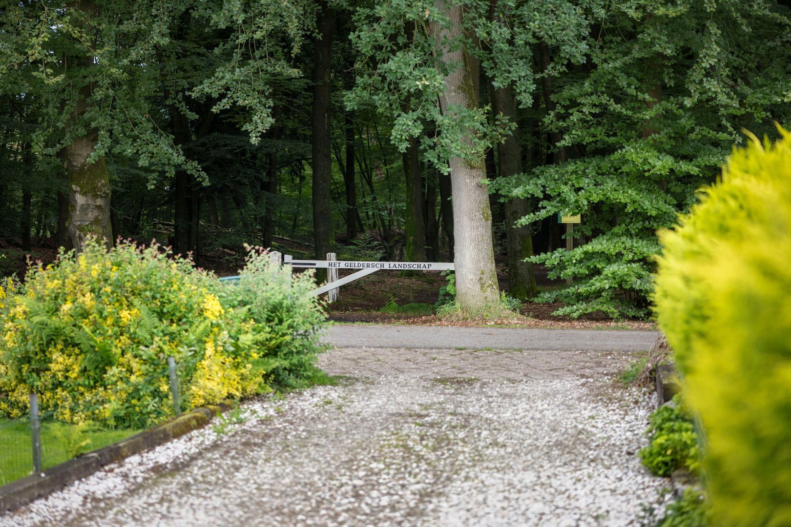 Eikenlaan 18, Heerde foto-44