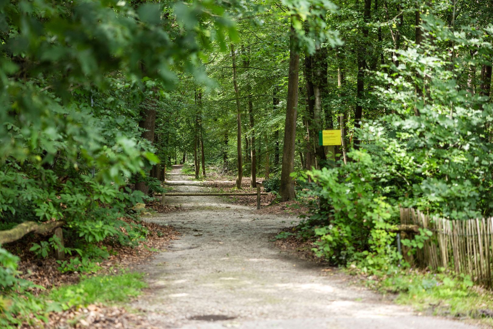 Eikenlaan 18, Heerde foto-59