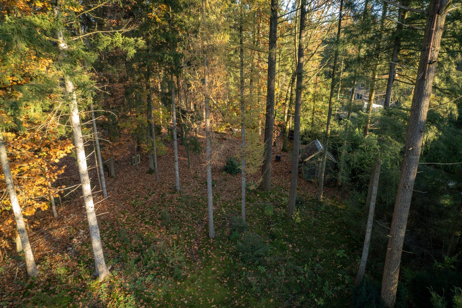 Vijverlaan 26, Epe foto-39