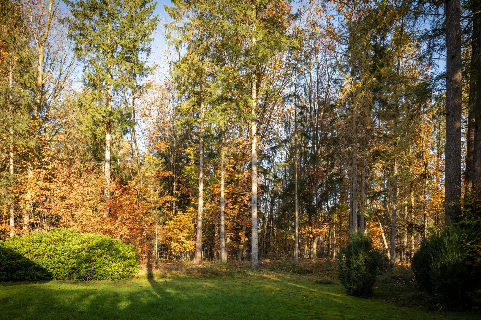 Vijverlaan 26, Epe foto-31