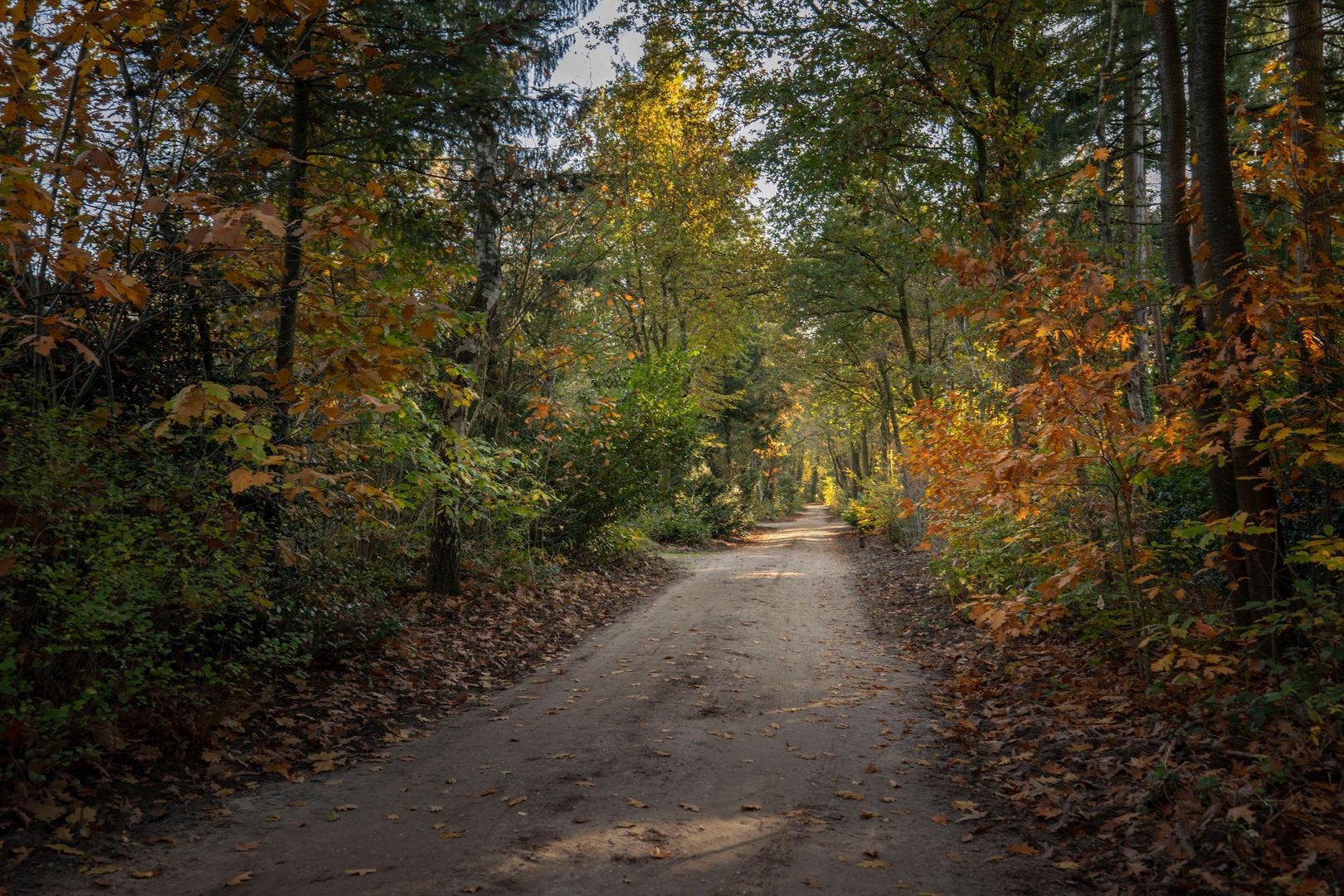 Vijverlaan 26, Epe foto-41