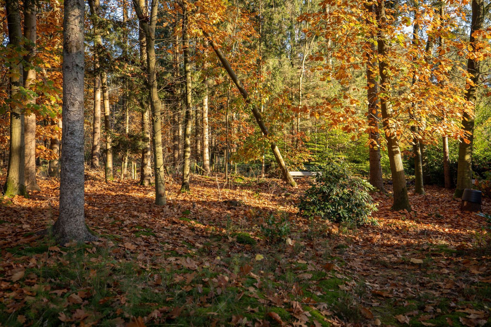 Vijverlaan 26, Epe foto-33