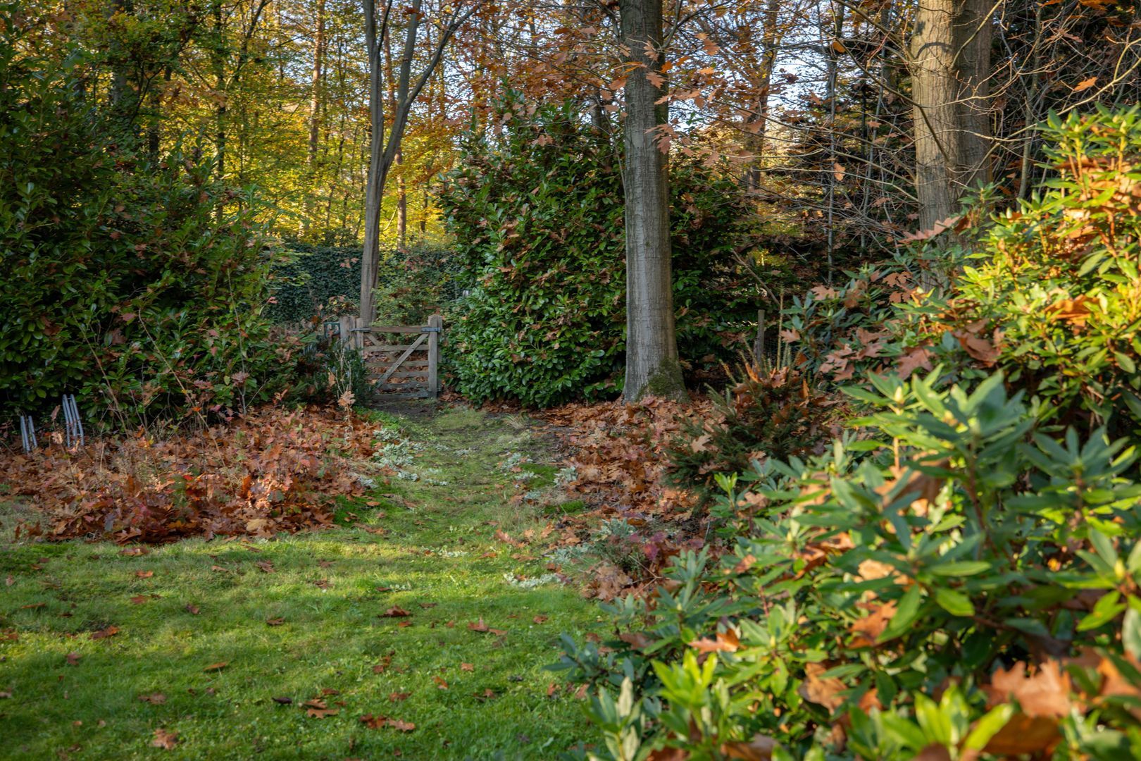 Vijverlaan 26, Epe foto-37