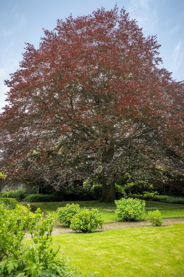 Eperweg 30, Heerde foto-48