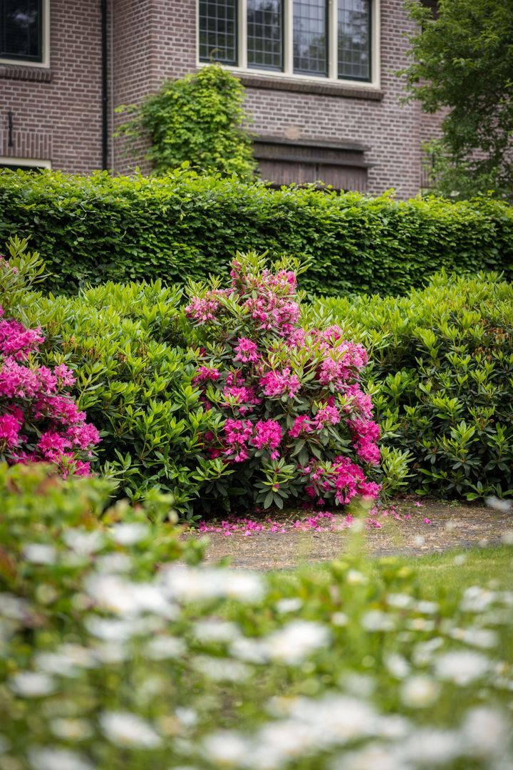 Eperweg 30, Heerde foto-45