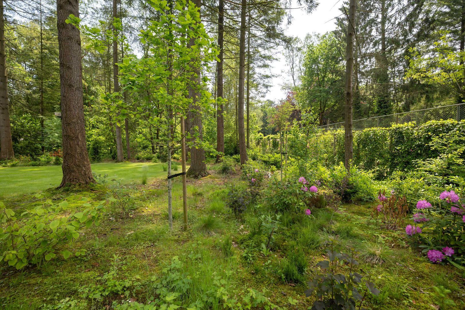 Bosweg 20, Epe foto-58