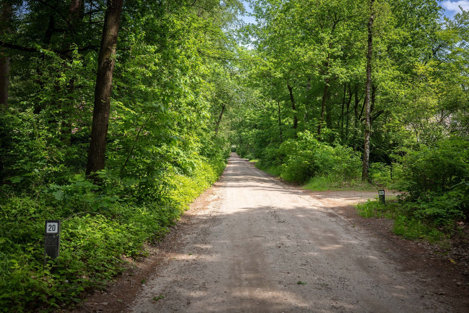 Bosweg 20, Epe foto-55