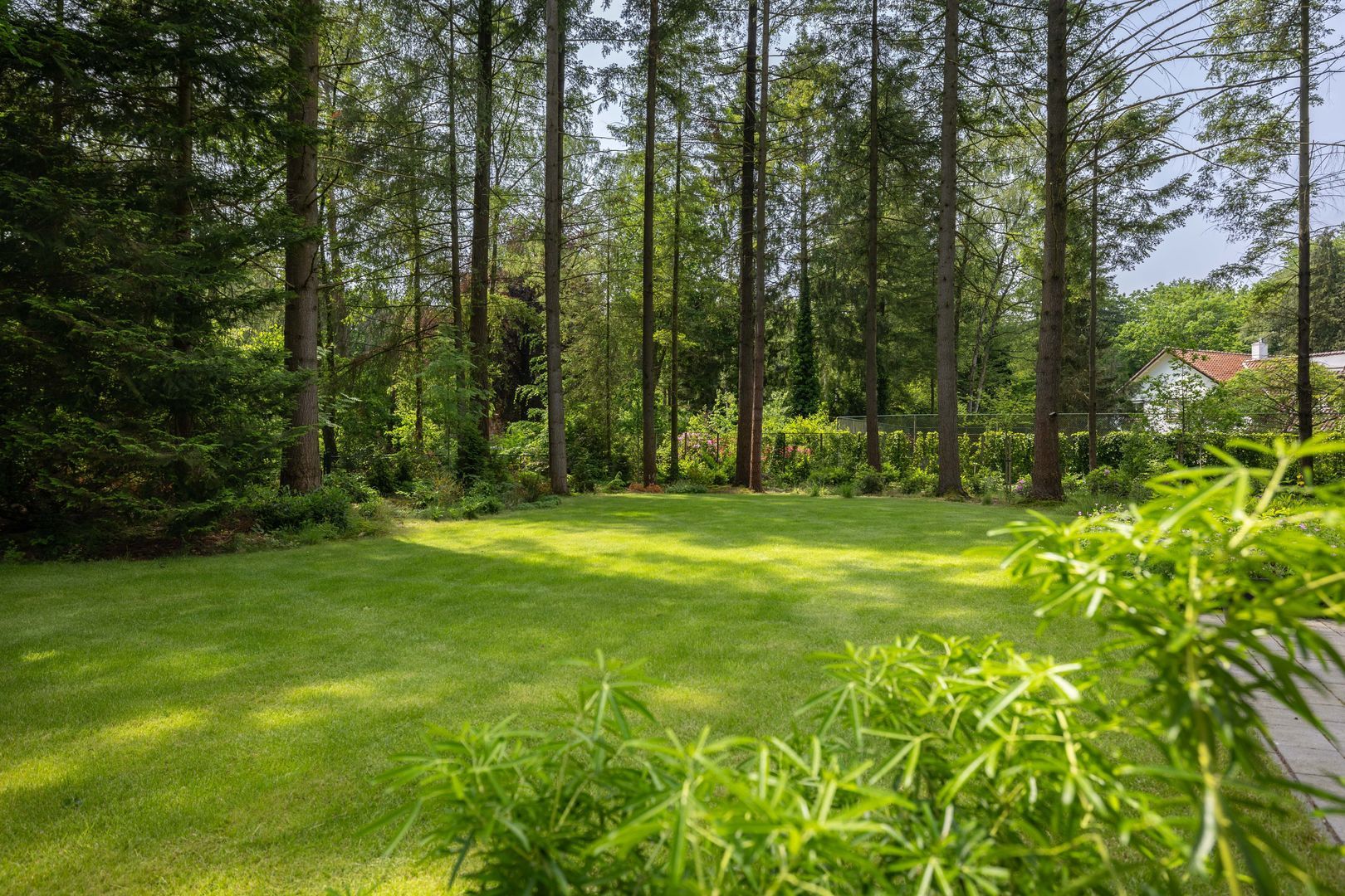 Bosweg 20, Epe foto-57