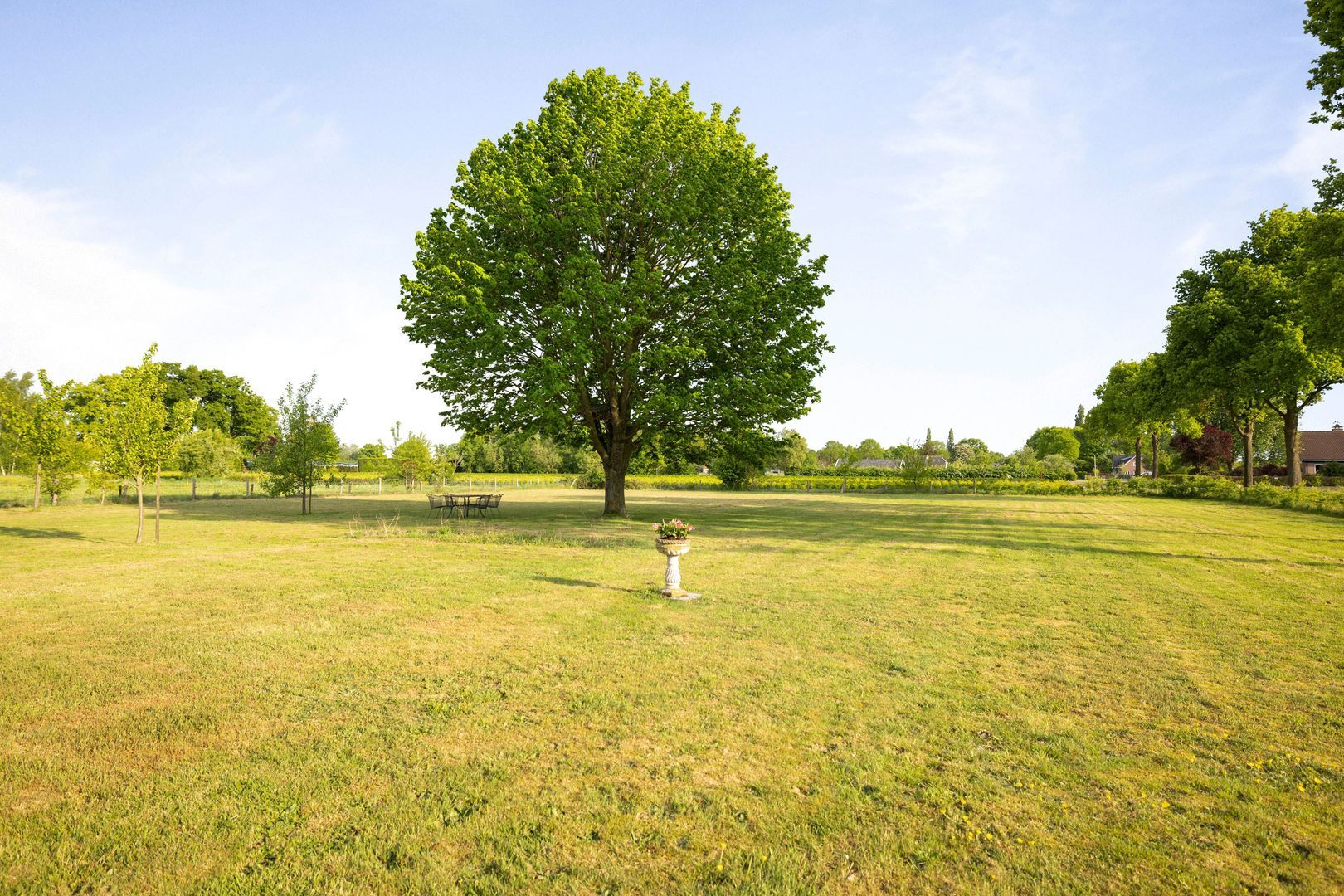 Rozenkampweg 8, Epe foto-34