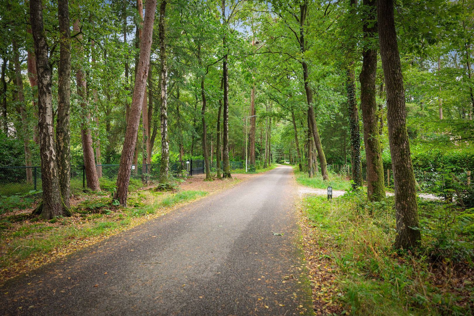 Sparrenlaan 14, Epe foto-48