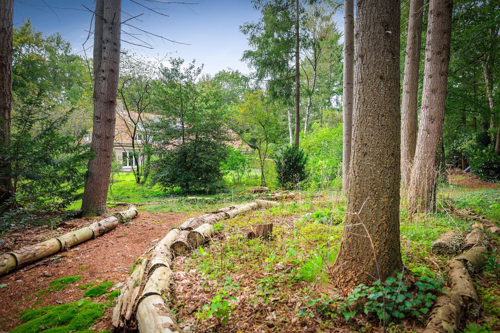 Sparrenlaan 14, Epe foto-7