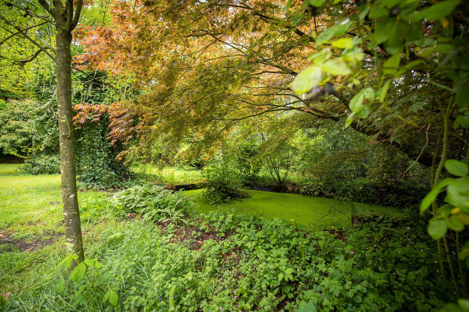 Ericaweg 39, Epe foto-47