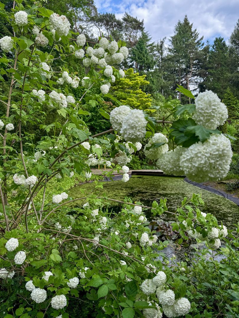 Berkenlaan 4, Epe foto-49