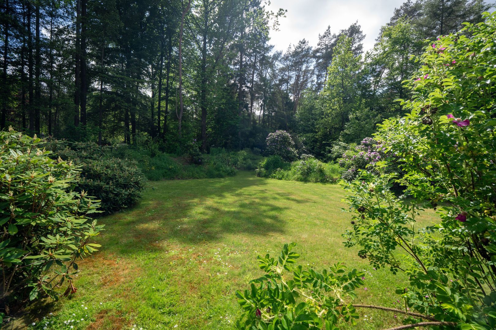 Berkenlaan 4, Epe foto-57