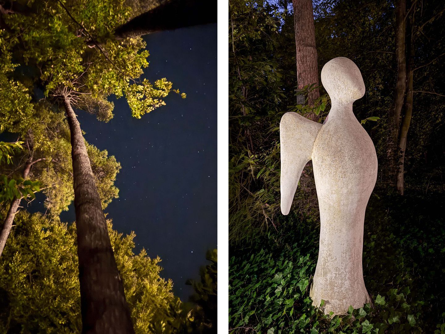 Berkenlaan 4, Epe foto-67