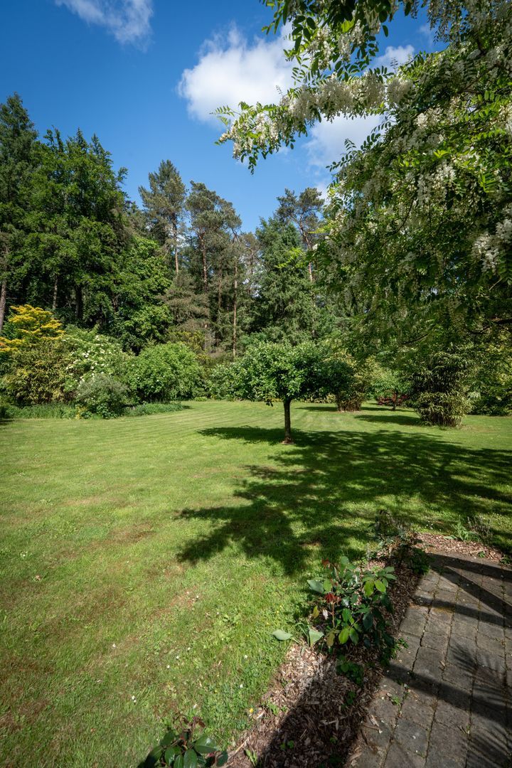 Berkenlaan 4, Epe foto-58