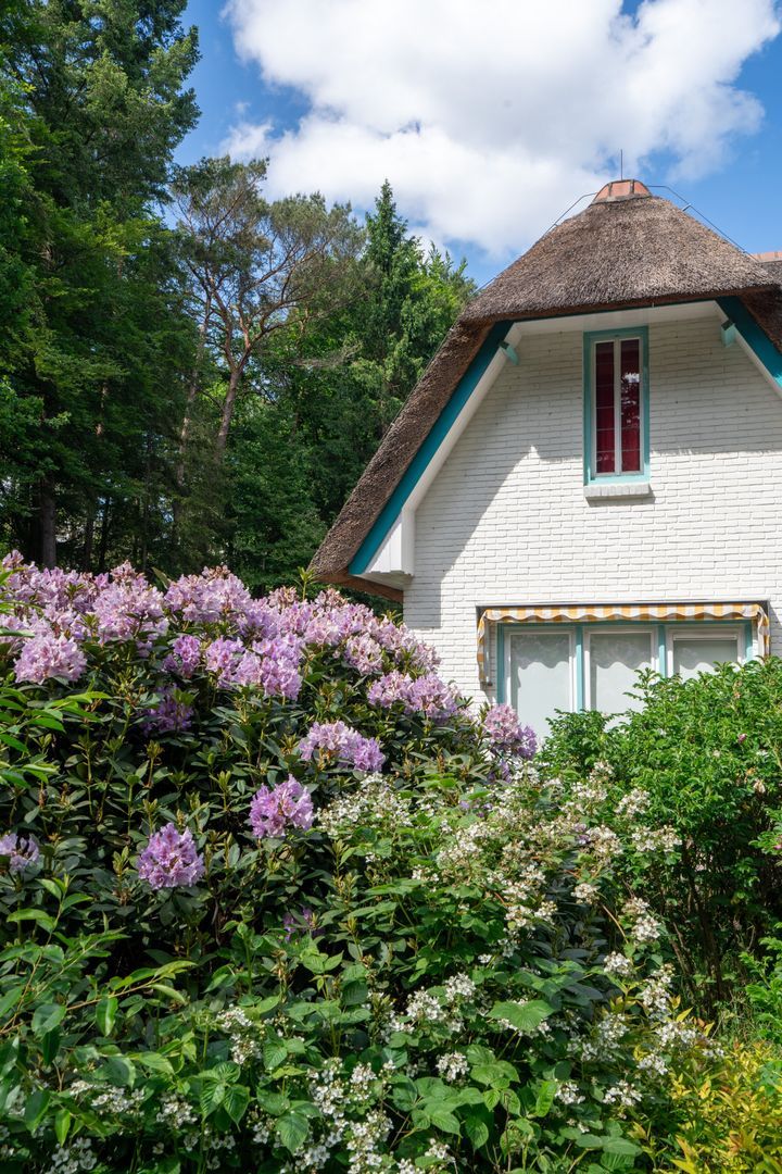 Berkenlaan 4, Epe foto-50