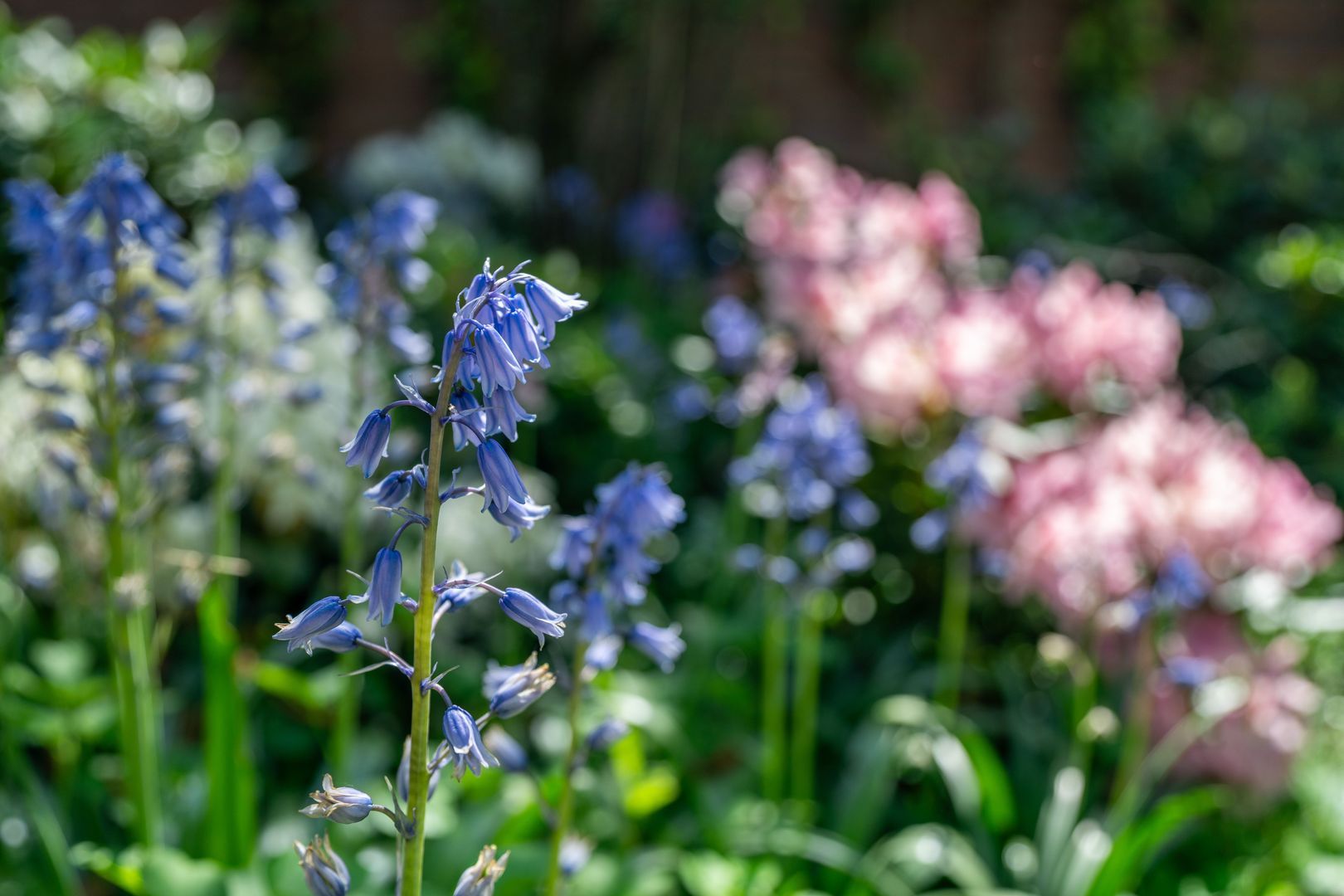Hoofdweg 68, Klarenbeek foto-69