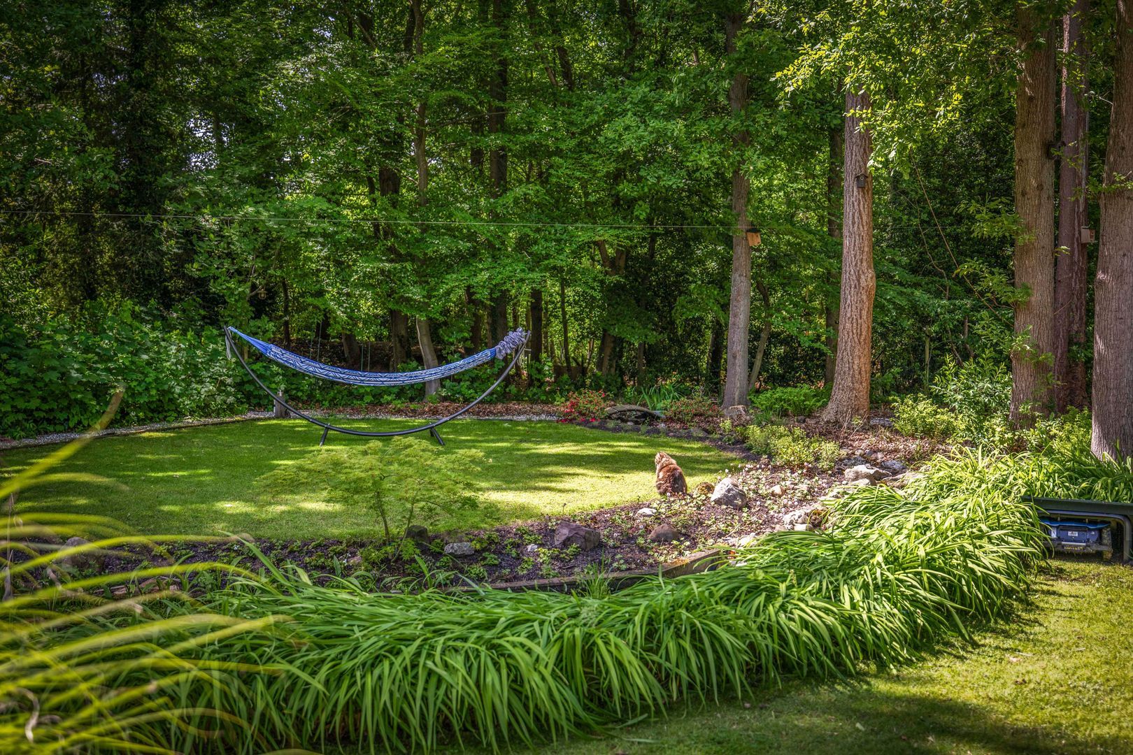 Novalieweg 36, Hattem foto-47