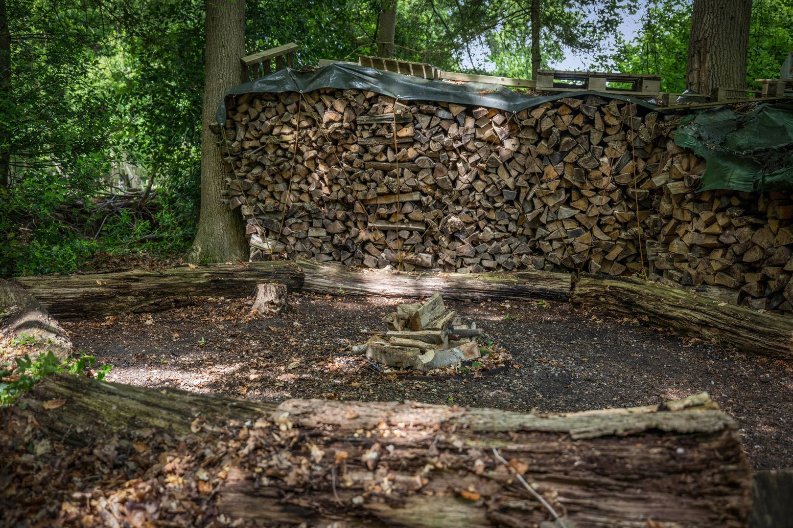 Novalieweg 36, Hattem foto-51