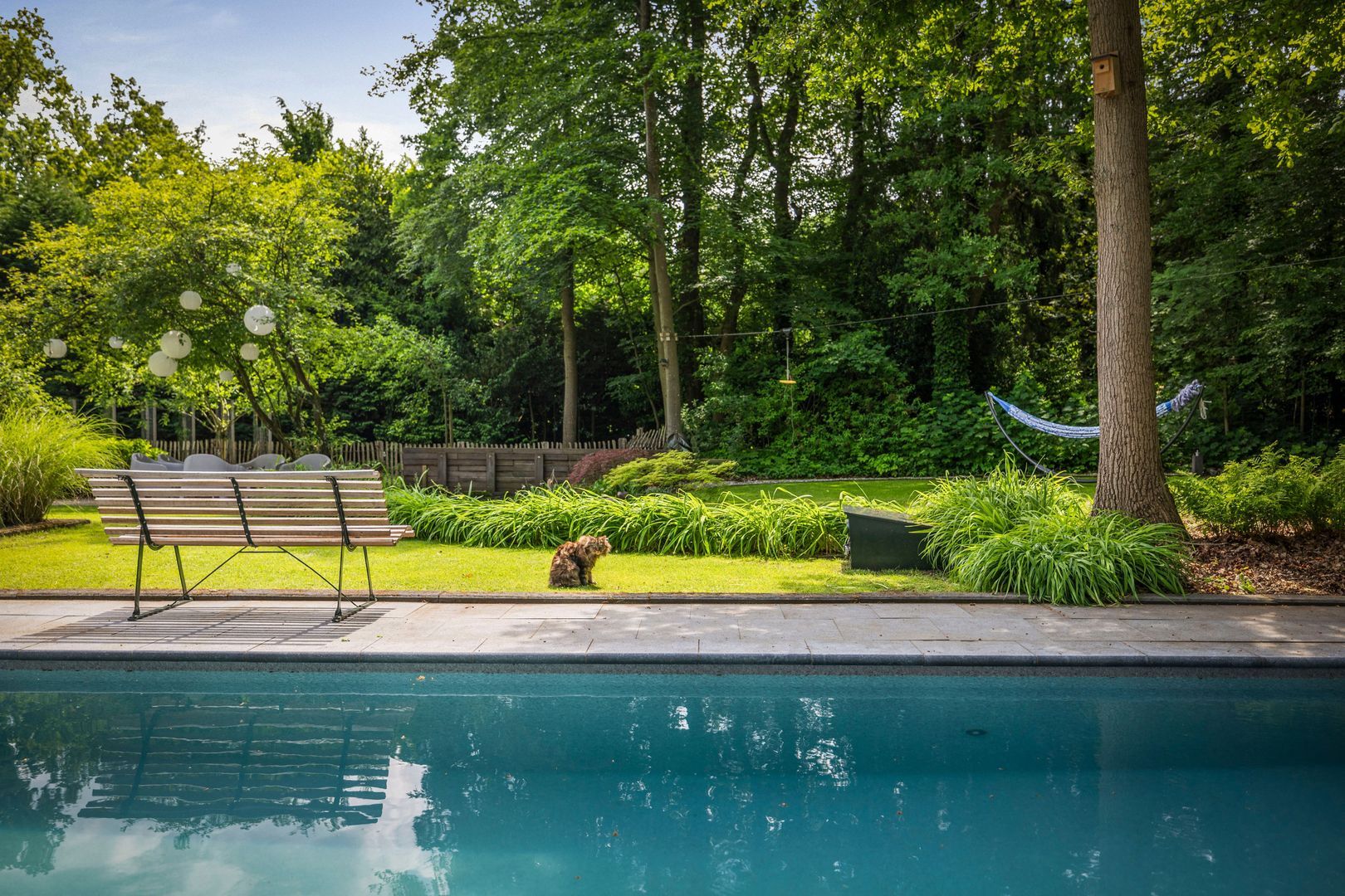 Novalieweg 36, Hattem foto-38