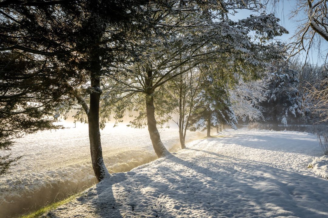 Veenweg 29, Heerde foto-3