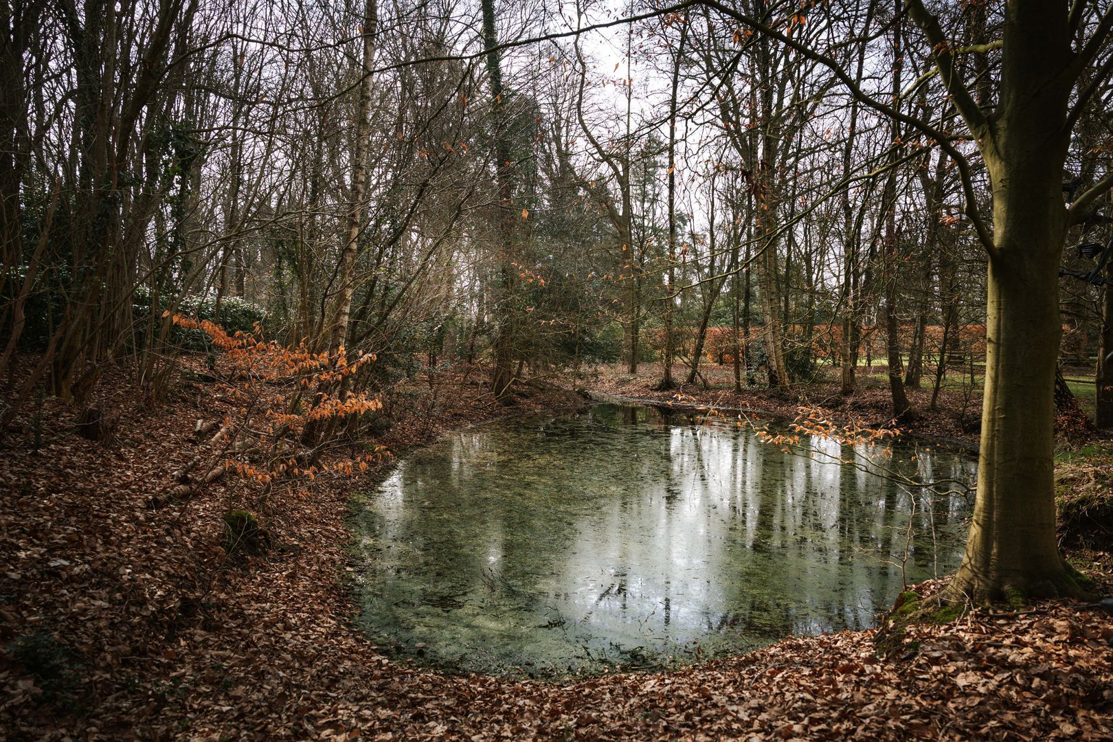 Koerbergseweg 6, Heerde foto-41