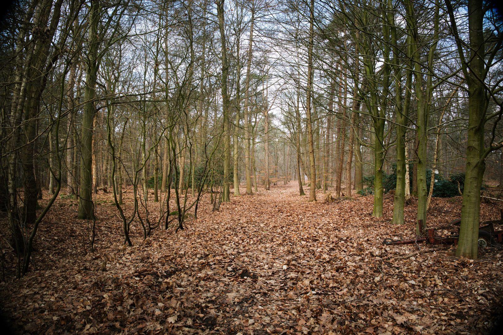 Koerbergseweg 6, Heerde foto-43