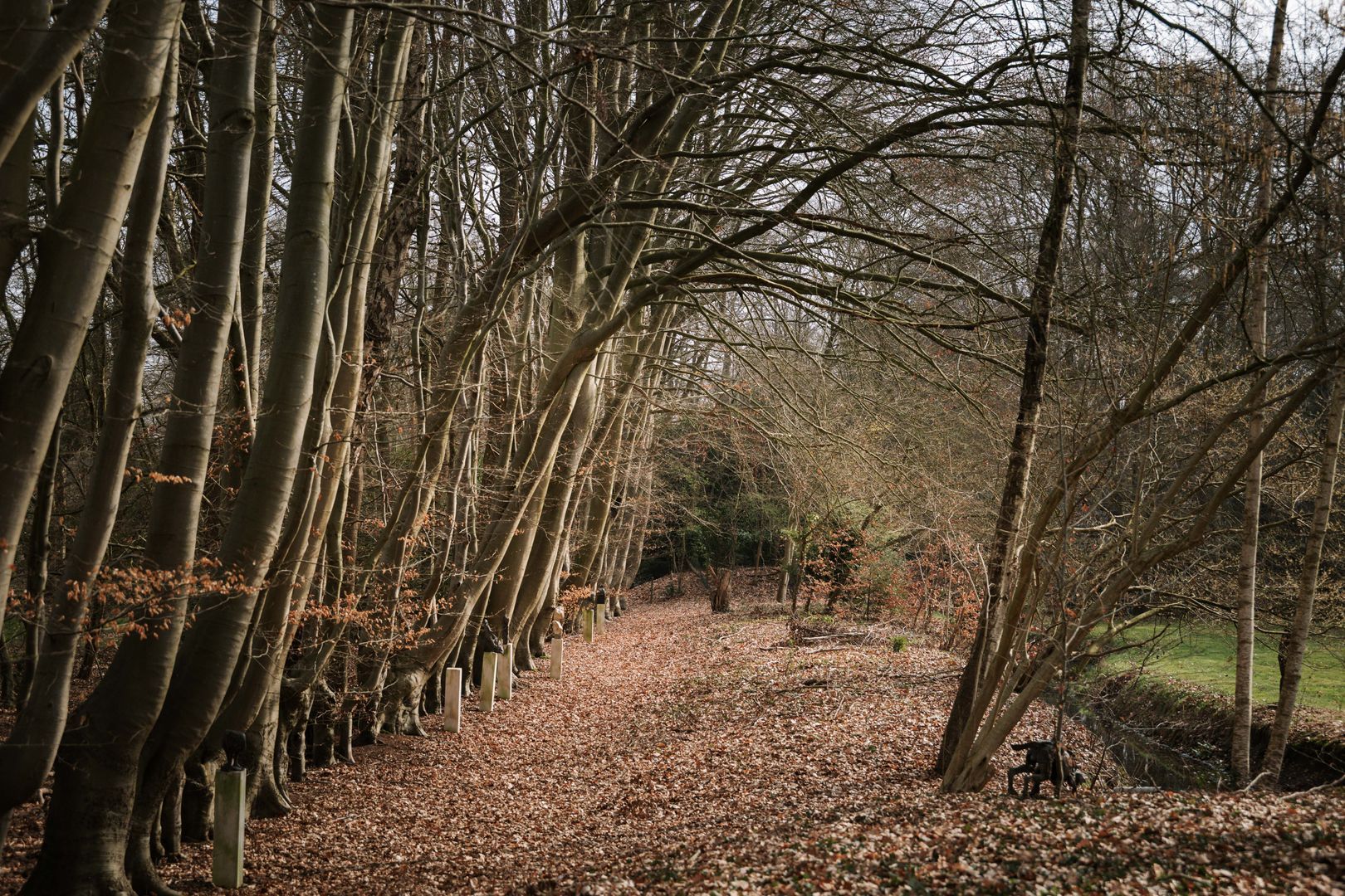 Koerbergseweg 6, Heerde foto-49