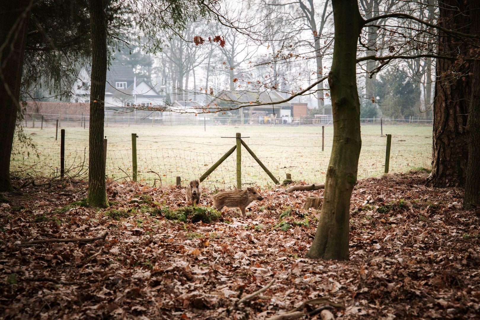 Koerbergseweg 6, Heerde foto-42