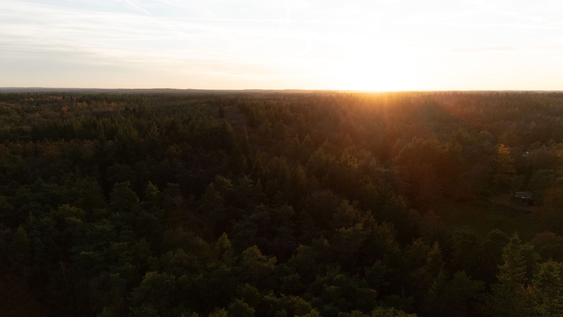 Berkenlaan 4, Epe foto-55