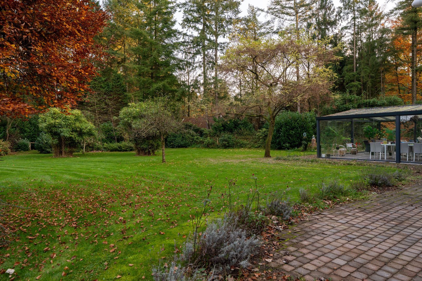 Berkenlaan 4, Epe foto-52