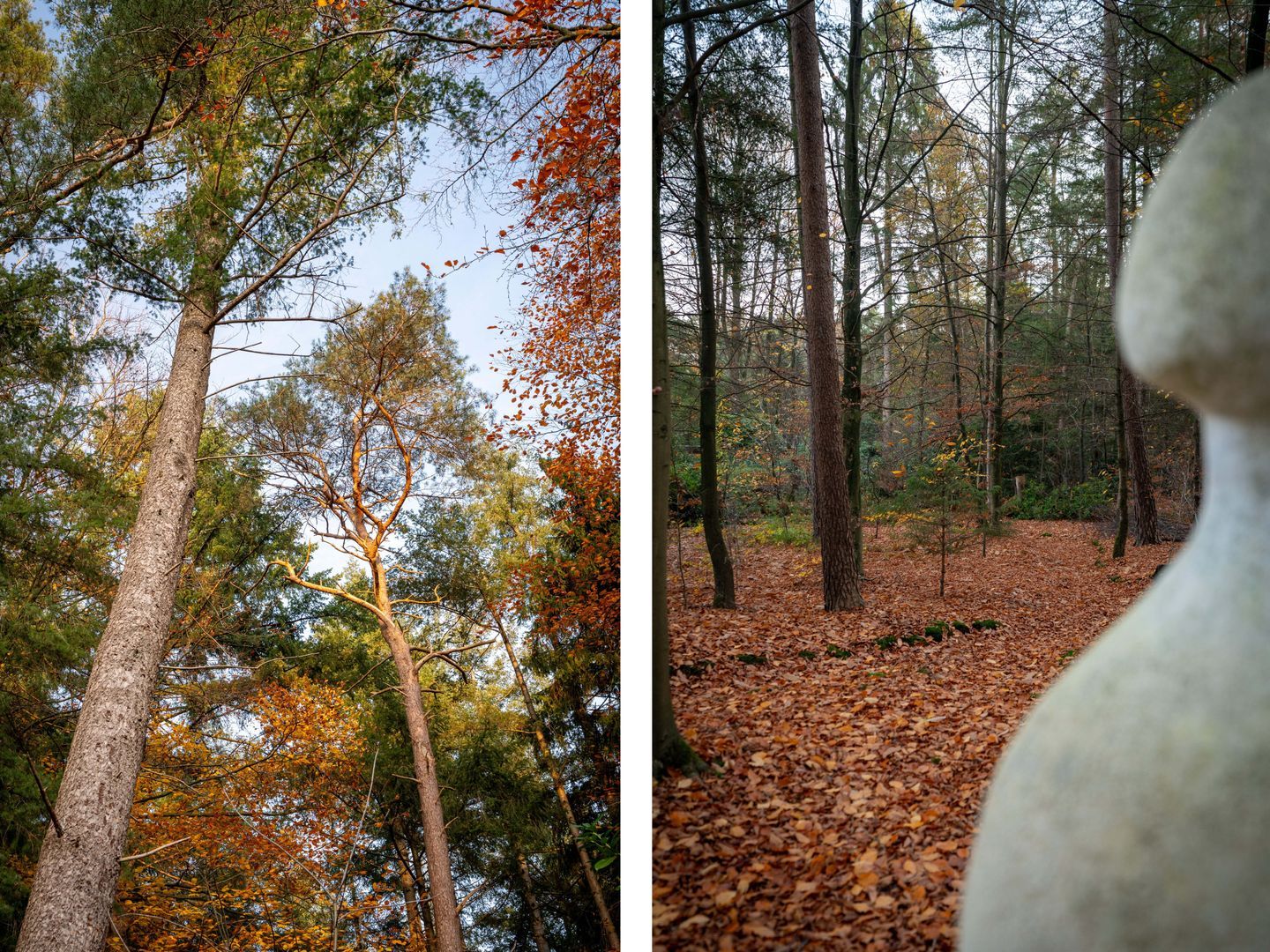 Berkenlaan 4, Epe foto-56