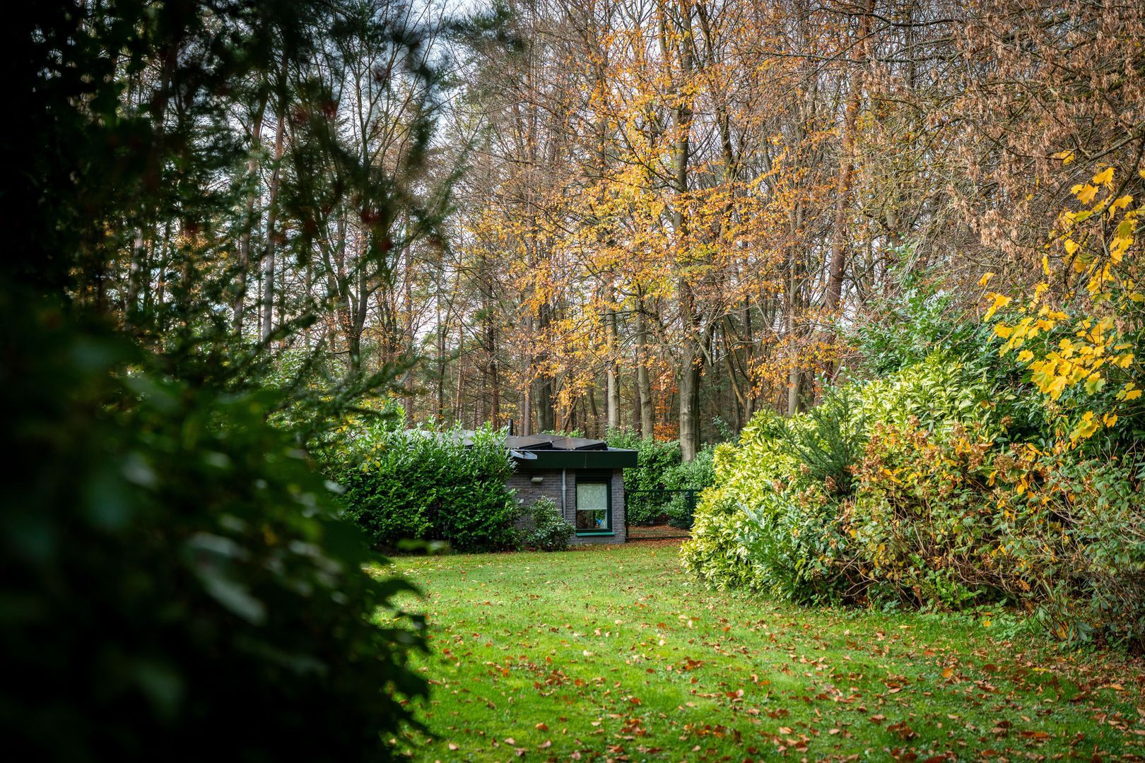 Berkenlaan 4, Epe foto-47