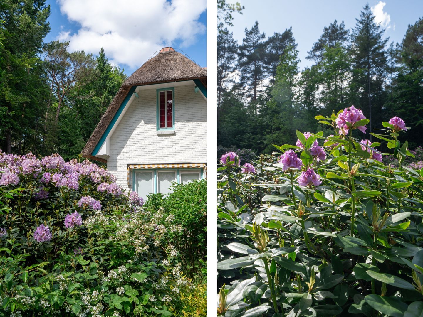 Berkenlaan 4, Epe foto-37