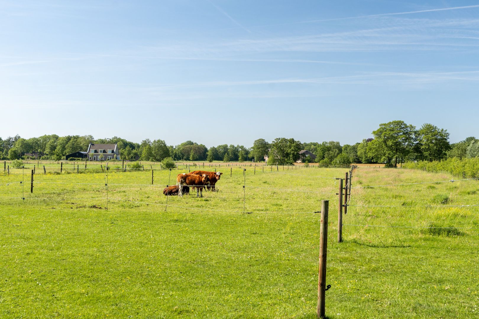 Tongerenseweg-Zuid 119, Epe foto-40