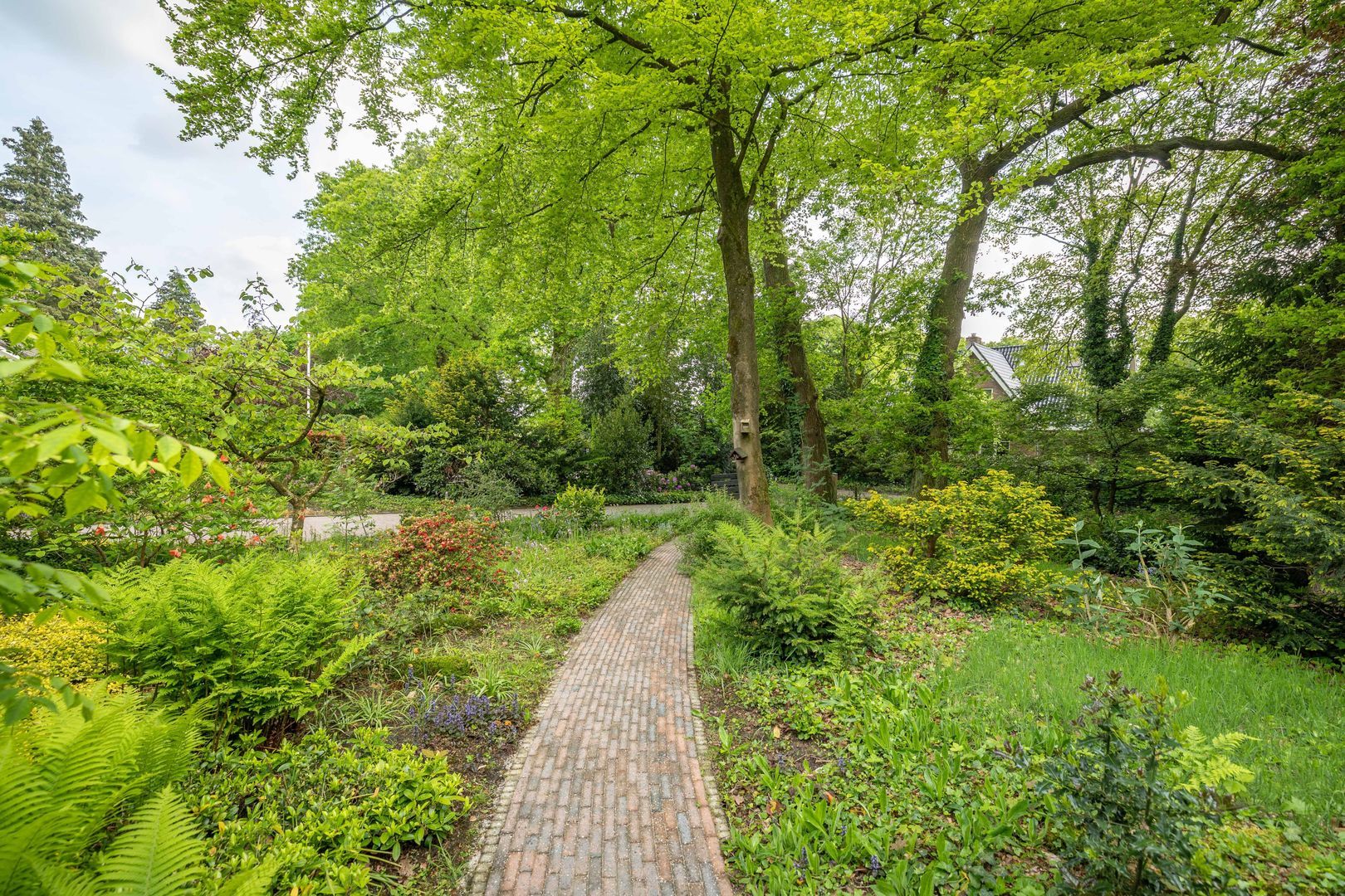 Hagedisweg 18, Epe foto-50