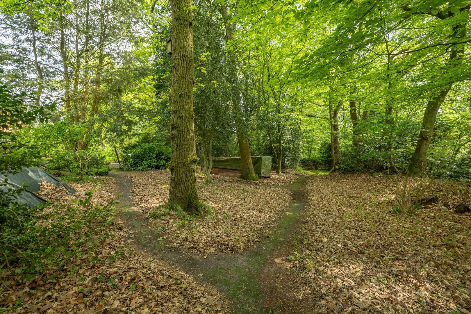 Hagedisweg 18, Epe foto-48
