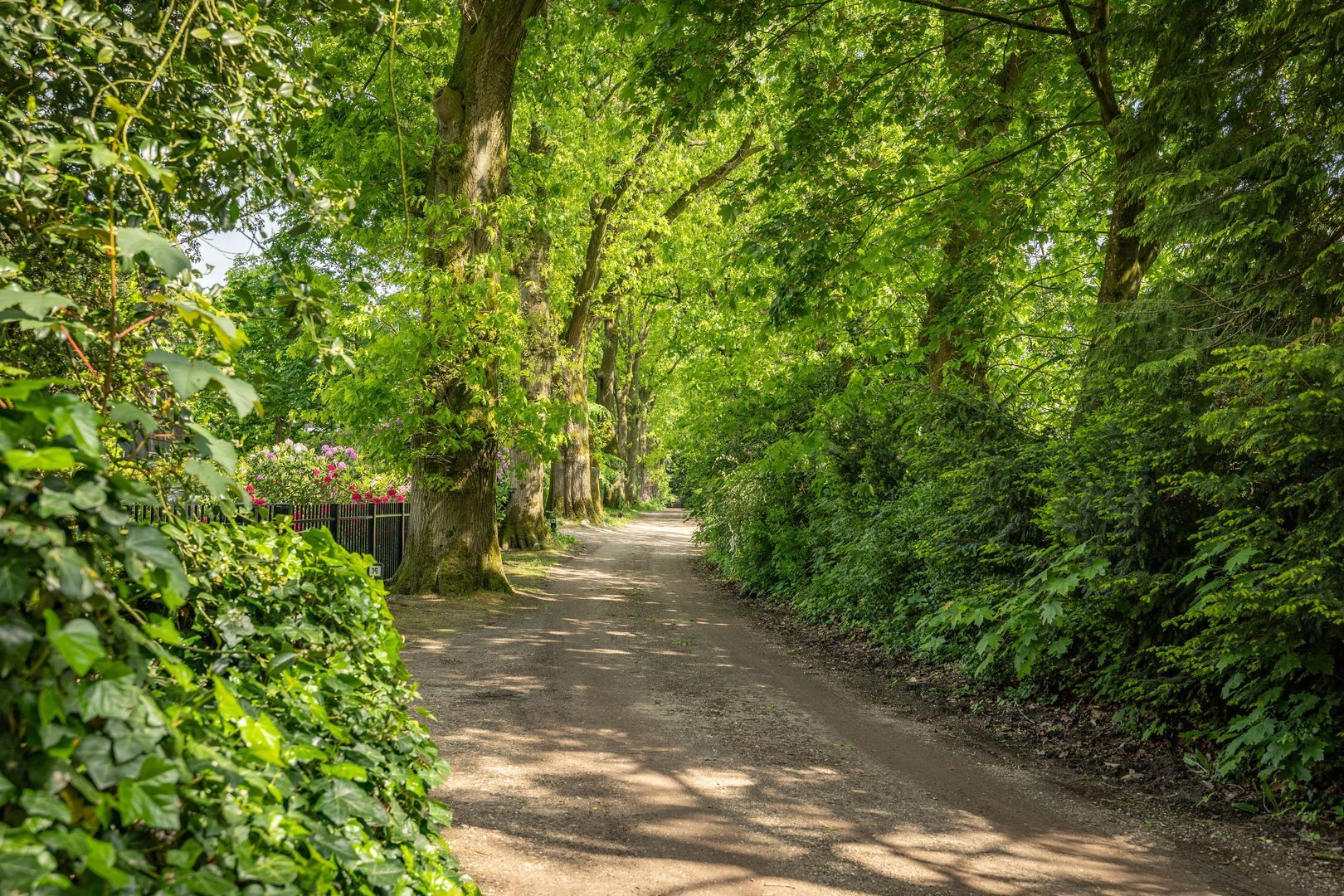 Hagedisweg 18, Epe foto-37